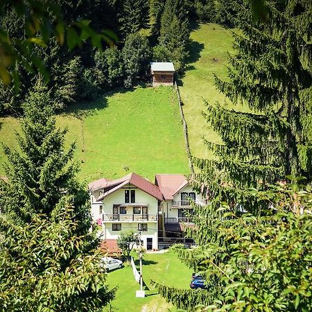 Pensiunea Puiu Moeciu De Sus Exterior foto