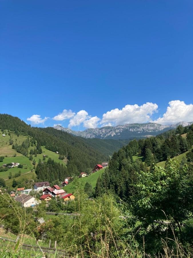 Pensiunea Puiu Moeciu De Sus Exterior foto