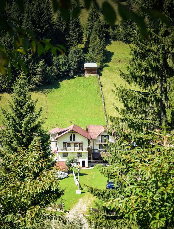 Pensiunea Puiu Moeciu De Sus Exterior foto